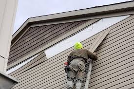 Historical Building Siding Restoration in Lynchburg, VA